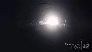 Pterodactylus - E.P. Nights (Starflyer 59 Cover)