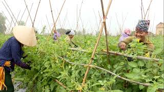 TỔNG KẾT ĐÁNH GIÁ HIỆU QUẢ CÁC MÔ HÌNH P1