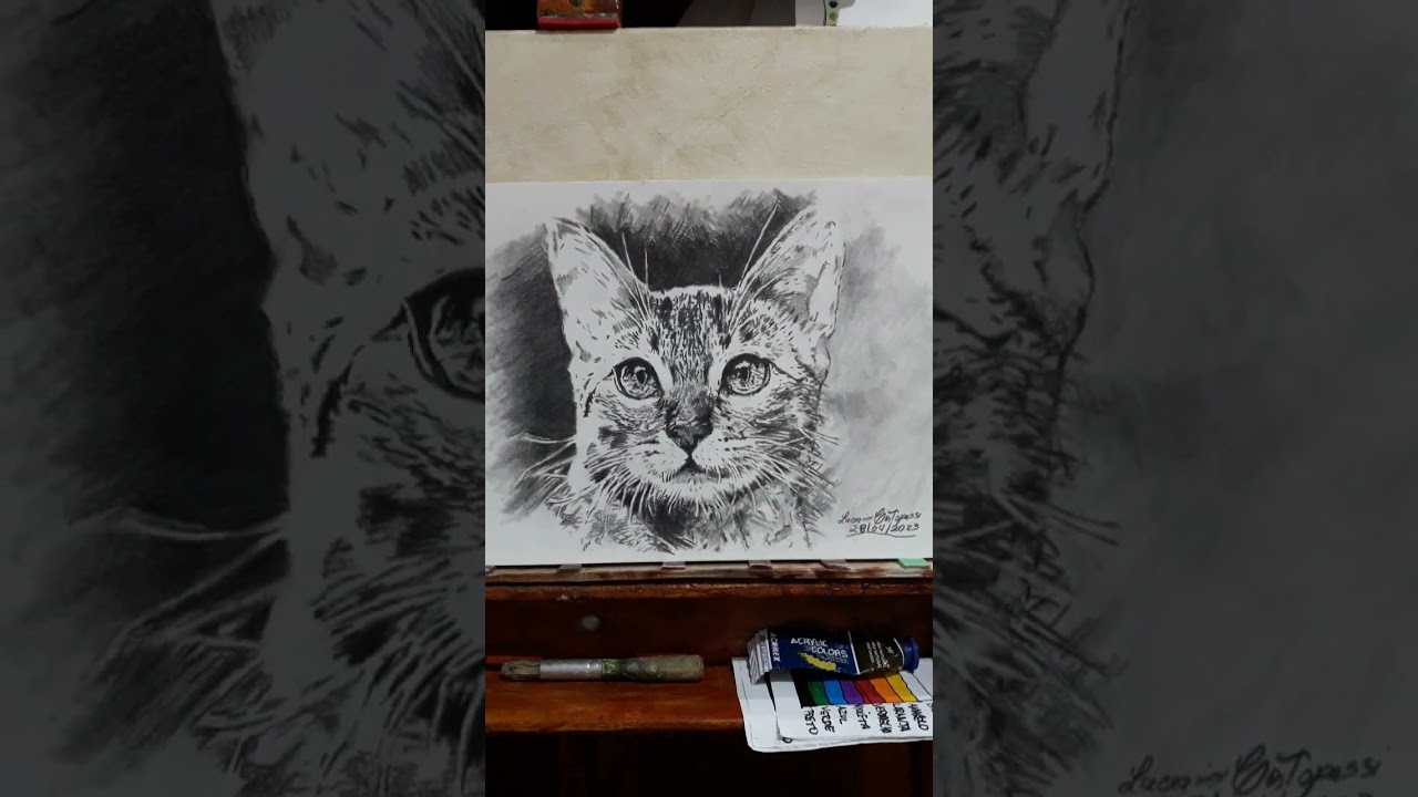 Desenhos thumbnail