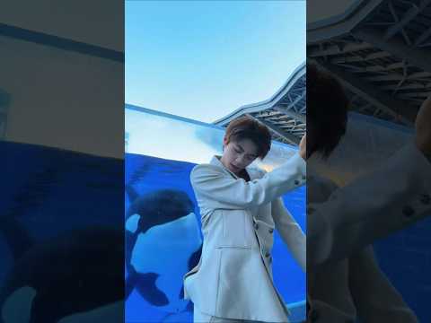 Tianjin Shake x Mente Má (Nakama & Mc Staff) / Sword and Horse Dance – Yangyang Zhao #dancecover