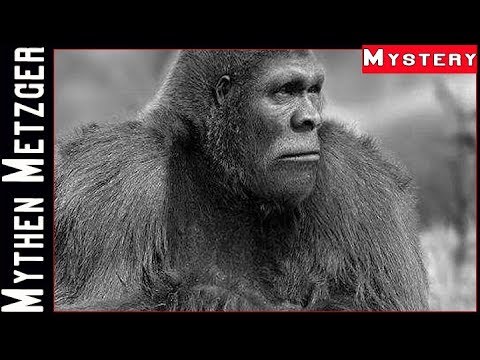 Mystery Banden Talk #5:  Bigfoot, Monster & Kryptide