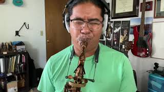 10MFAN ALTO MADNESS ALTO SAX MOUTHPIECE—-Reggie Padilla is crazy about it. “There will never be...”