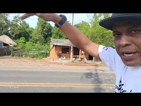 Nueva estación. Buenavista Cordoba