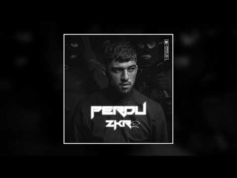 [FREE] ZKR x PLK "PERDU" - Type Beat | Boom Bap & Old School Instrumental