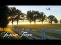 Tenishia - Where Do We Begin (Andrew Rayel ...