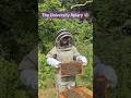 Visit the University Apiary with us 🐝 #LboroFamily #bees #apiary