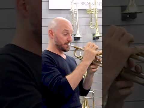 Trumpet Lesson - How to Optimize 20 minutes of practice @ Phil Parker #shorts