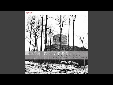 Ich sachs eyns mols den lichten morgensterne