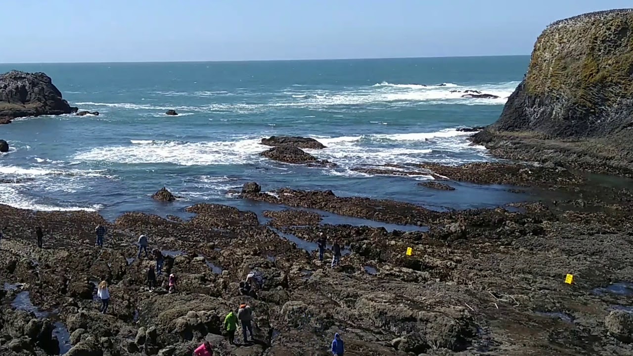 Tide Pools Time lapse