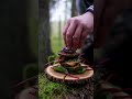 If You Like A Little Naughty NAKED BURGER Just For You Wildkitchen Asmr Hamburger Wildlife