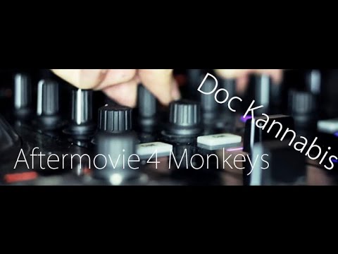 4 Monkeys Live! @ Dr Kannabis CSC (Madrid) Aftermovie
