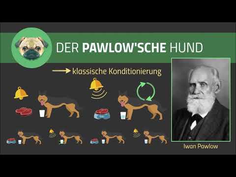 Heiko Schrang & "Der Pawlow'sche Hund"