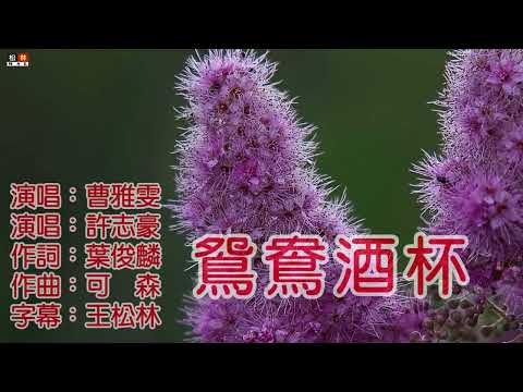 曹雅雯+許志豪 鴛鴦酒杯