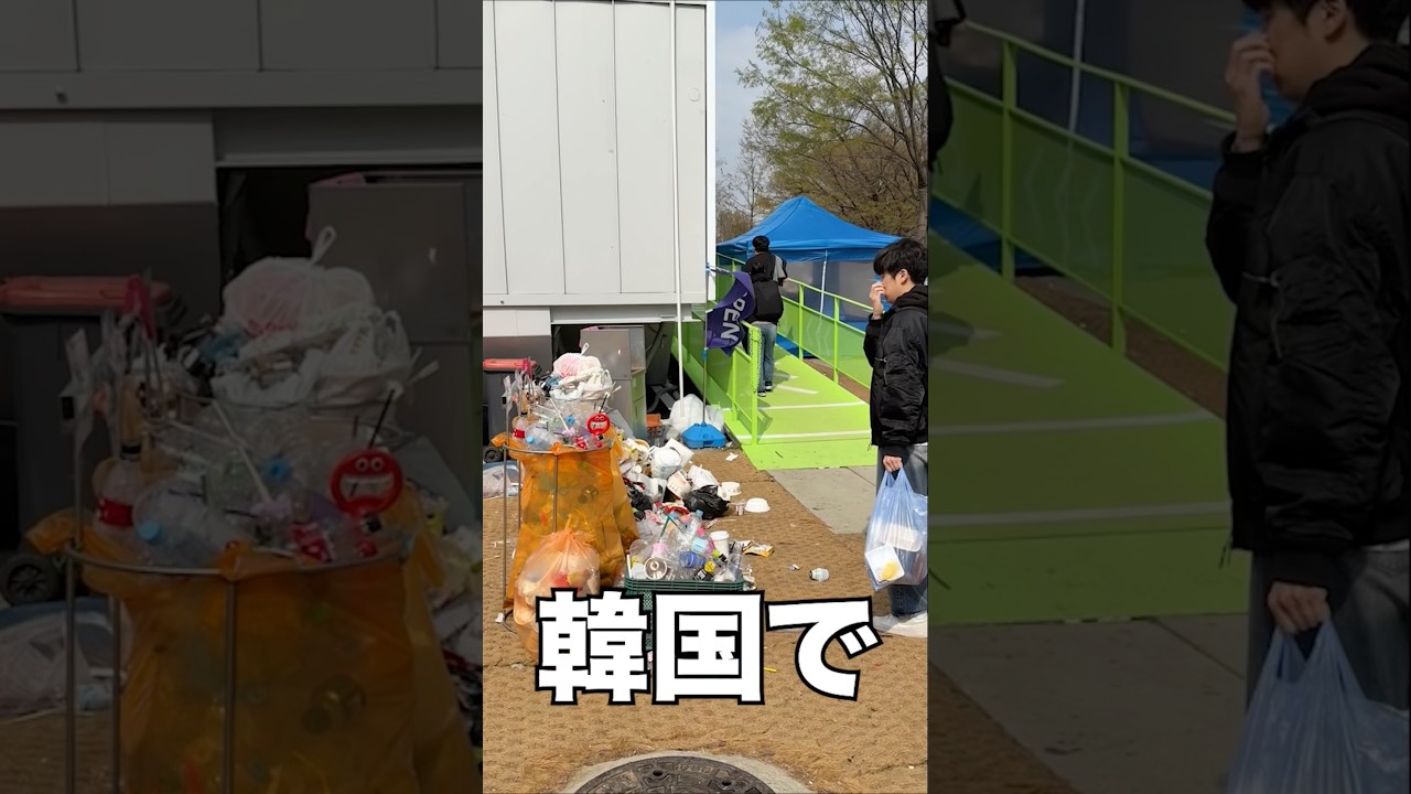 韓国の桜祭りに行ったら日本と違いすぎて困りましたw