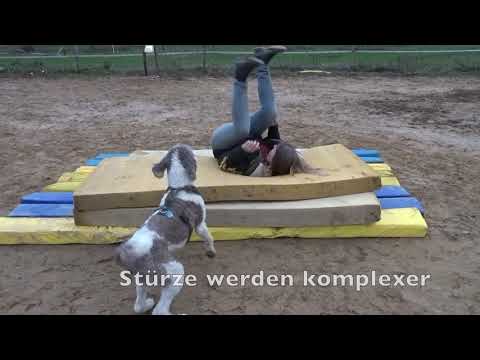 Falltraining für Reiter. Ziel: Abrollen beim Sturz kann man Schritt für Schritt üben.