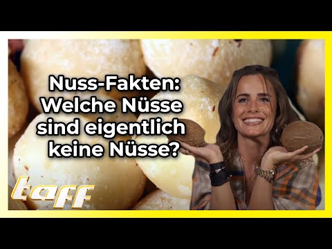 Die interessantesten Fakten über Nüsse, die du garantiert noch nicht wusstest