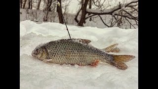 Рыбалка в Глухозимье на верхней  Москве-реке. Марафон в 15 км. РОЗЫГРЫШ ПРИЗОВ!!!