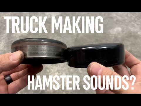 How to Replace the Idler Pulley and Drive Belt on a 4.0L V6 Ford Ranger
