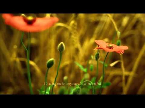 Los Dias Contados - Alan Parsons Project