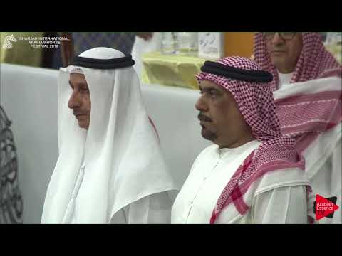 N.133 D BAREQ - GOLD - Yearling Colts Championship