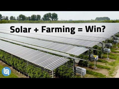 , title : 'Solar Panels Plus Farming? Agrivoltaics Explained'