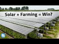 Solar Panels Plus Farming Agrivoltaics Explained