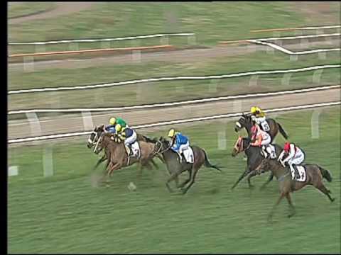 Galoppo 25/02/2017 - 2ª corsa