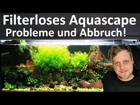Filterloses Aquascape - PROBLEME UND ABBRUCH! DIY Filterung