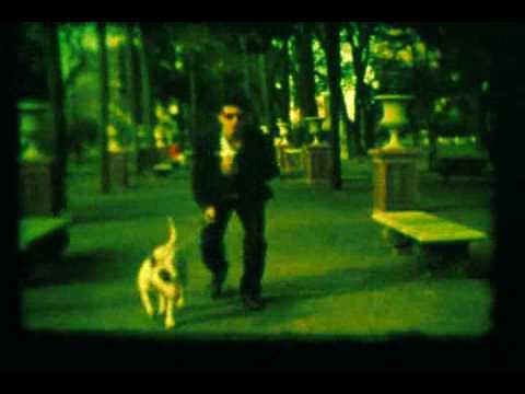 ZONORA POINT DIABOLICO