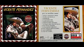 Vicente Fernandez - Demente