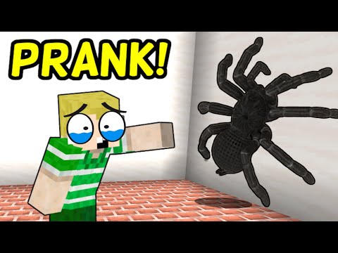 RIGTIG Edderkop PRANK På Emil!! - Dansk Minecraft