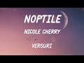 Nicole Cherry Noptile Versuri Lyrics