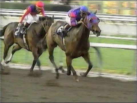 ESPN RaceHorse Digest - February 23rd 1994