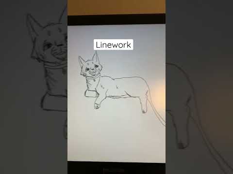 Drawing rusty and graypaw from warrior cats!