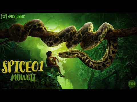 SPICE01 - MOWGLI