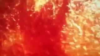 Boards of Canada - Jacquard Causeway