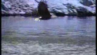 I will fight no more forever...