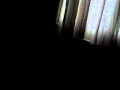 MVI 0087