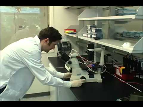 UofL Center for Predictive Medicine