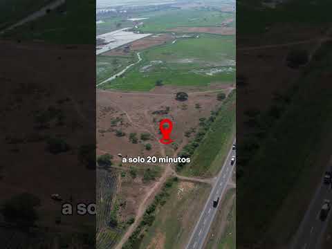 2 hectáreas en venta en la vía al PAN Guayas industrial #netvalue #bienesraices