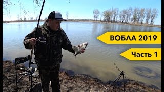 Рыболовная база ревин хутор в астрахани