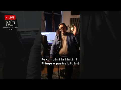Marius Ciprian Pop – Doina Păsării (Live în studio)