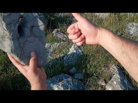 Horasan Harcıyla Yapılmış Define Kasaları Buldum !!!