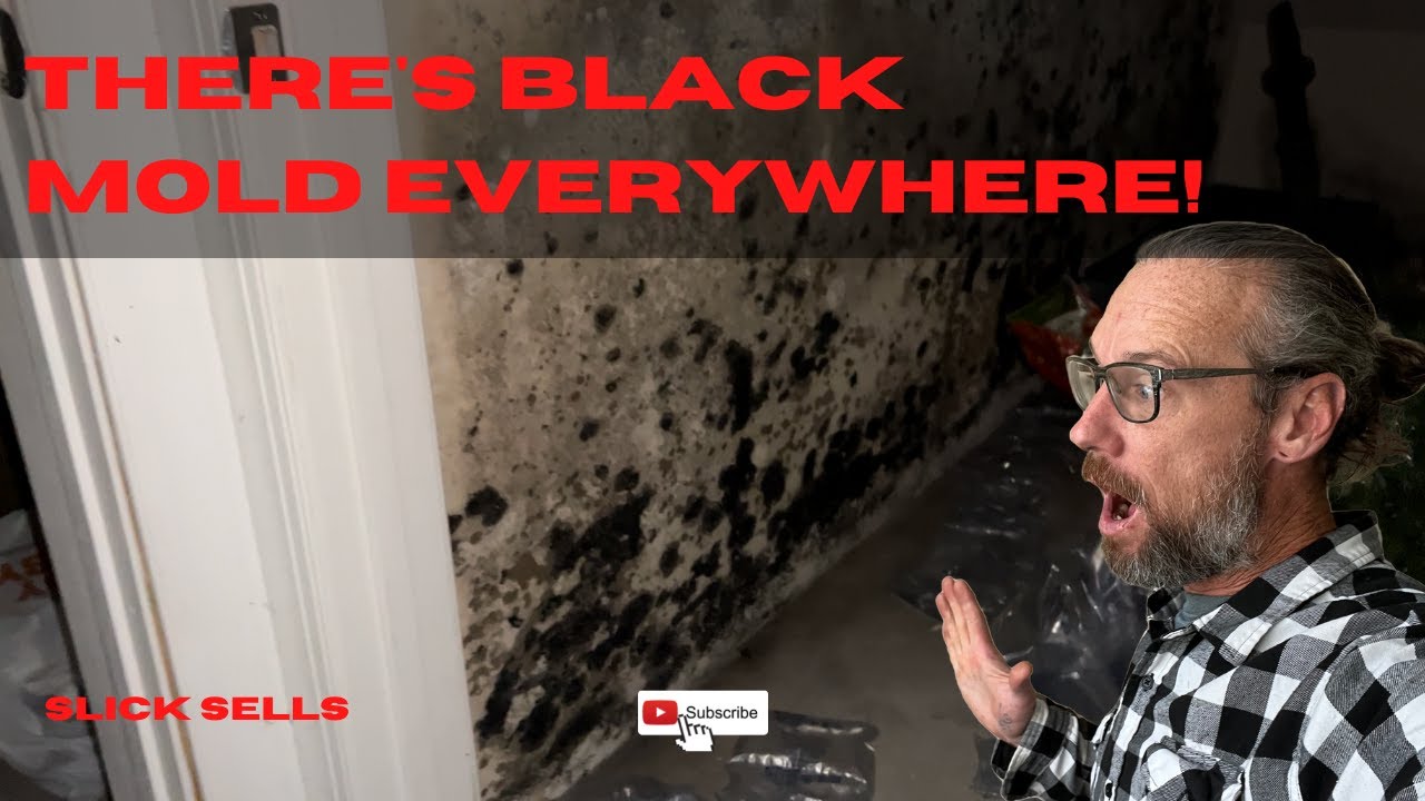 THERE’S BLACK MOLD EVERYWHERE!!!