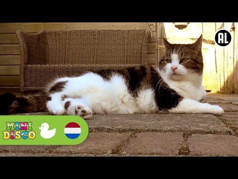Waar Is de Poes | Kinderliedjes | Op de Boerderij | Minidisco