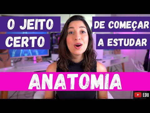 Por onde começar a estudar ANATOMIA? Passo a passo para aprender do jeito certo!