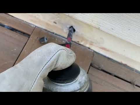 Yellow Jackets Coming from a Small Gap in Milltown, NJ