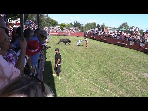 Festa Brava & Picnic de Gente da Nossa TV (B) - Aug.17-19 - #5