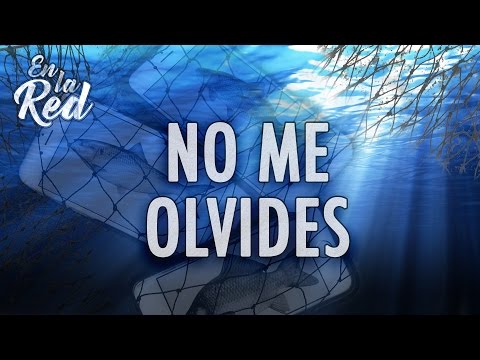 Pablo Olivares - No Me Olvides (Video Lyric)