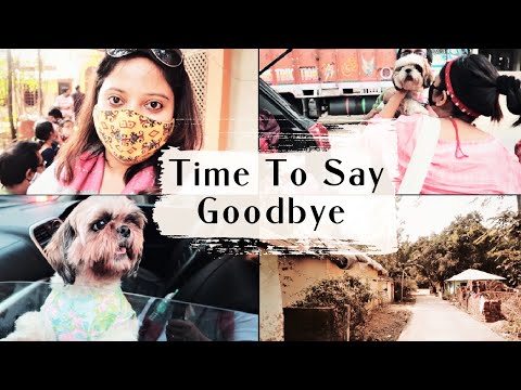 Time To Say Goodbye | Shih Tzu Roadtrip | Vacation with Dogs Video